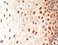 Cell Biology of the Senses