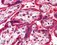DNA repair