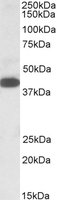 EB09734 1