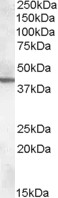 EB08783 1
