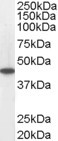 EB05674 1