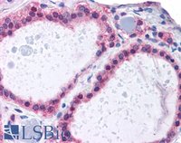 EB05382 4