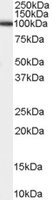 EB05382-T 1