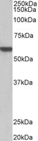EB11919 2