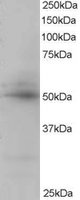 EB05393 1