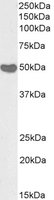 EB05393-B 1