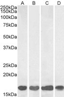 EB05419 1