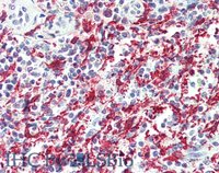EB05419 4