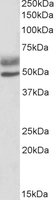 EB05507 1