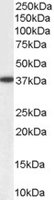 EB05538 1