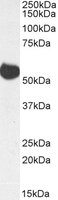 EB10435-B 1