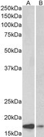 EB11713 1