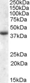 EB08919 1