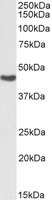 EB07697-B 1