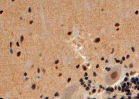 EB06745 2