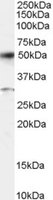 EB05198-T 1