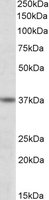 EB05247-T 1