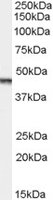 EB05035-T 1