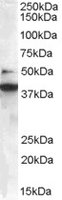 EB05158 1