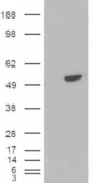 EB05111-T 2
