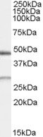 EB07979 1