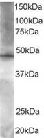EB05668 1
