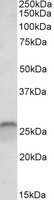 EB11759 2