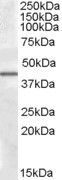 EB09204 1
