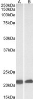 EB09304 2