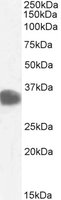 EB05515 1