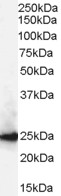 EB06958 1