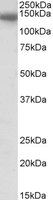 EB11829 1