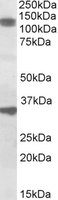 EB09758 1