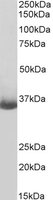 EB05140-B 1
