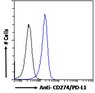 Goat Anti-CD274 / PD-L1 Antibody