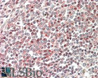 EB06414 2