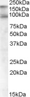EB05267-T 1