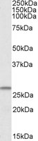EB09839 1