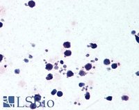 EB05738 3