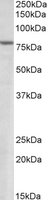 EB05724 1