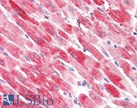 EB06889 4