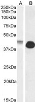 EB09301 1