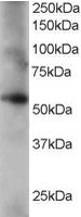 EB06357 1