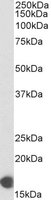 EB07914-B 1