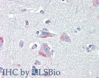 EB07553 1