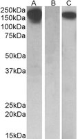 EB10257 1