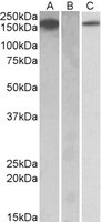EB10258 1