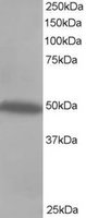 EB05118 1