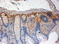 EB05118 3