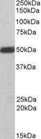 EB05118 2